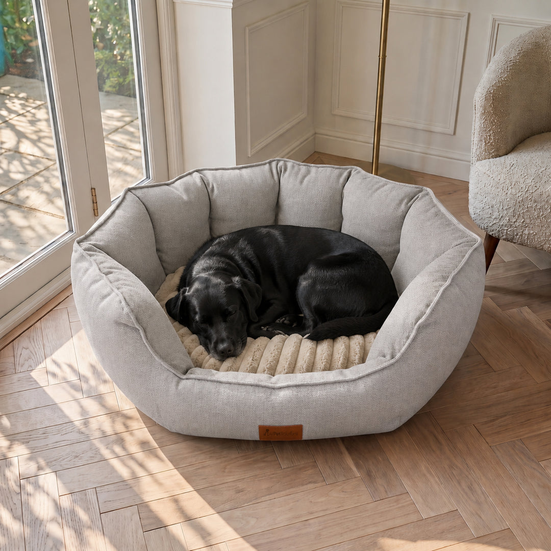 AllPetSolutions Alfie Premium Luxury Dog Bed - Ivory Cream - S/M/XL