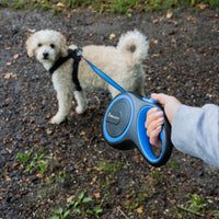 AllPetSolutions blue retractable dog lead handle grip detail
