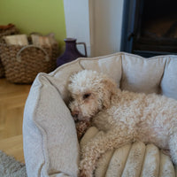 AllPetSolutions Alfie Premium dog bed in ivory cream with structured high sides for support