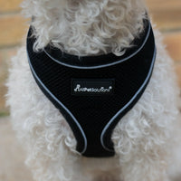 AllPetSolutions black reflective dog harness worn by a dog