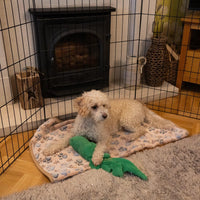 AllPetSolutions 36 inch pet playpen with 61cm wide panels for a roomy enclosure