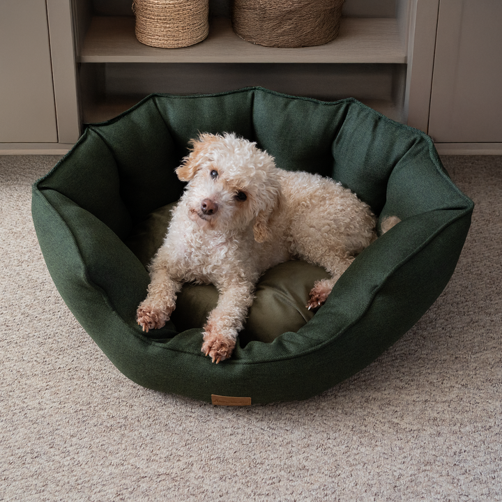 AllPetSolutions Alfie Premium Luxury Dog Bed - Forest Green - S/M/XL