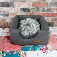 AllPetSolutions grey 3-in-1 cube bed with a cat resting inside