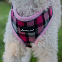 AllPetSolutions pink tartan dog harness worn by a dog