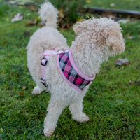 AllPetSolutions pink tartan dog harness reflective strip detail