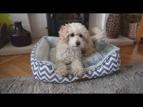 Daisy - Zigzag Grey Dog Bed - Size S/M/L