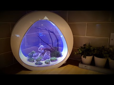 Nano Curve Acrylic Fish tank 13.5L