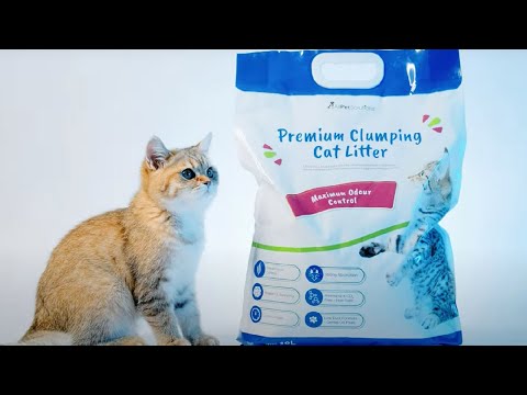 Premium cat litter clearance