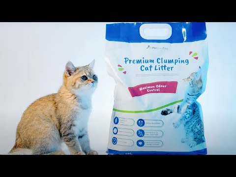 AllPetSolutions Clumping Cat Litter With Maximum Odour Control 20L