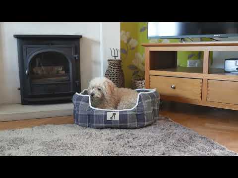 Alfie - Check Soft Dog Bed  - Size S/M/L