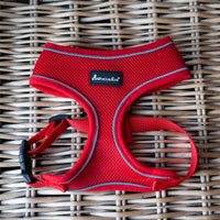 AllPetSolutions red dog harness lead attachment ring detail