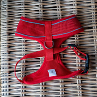 AllPetSolutions red dog harness buckle and adjuster detail