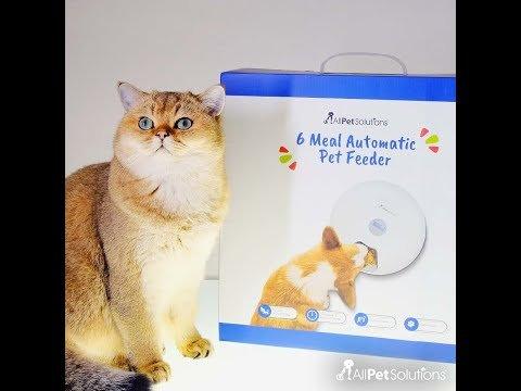 6 Meal Automatic Pet Feeder with LED Timed Settings - AllPetSolutions