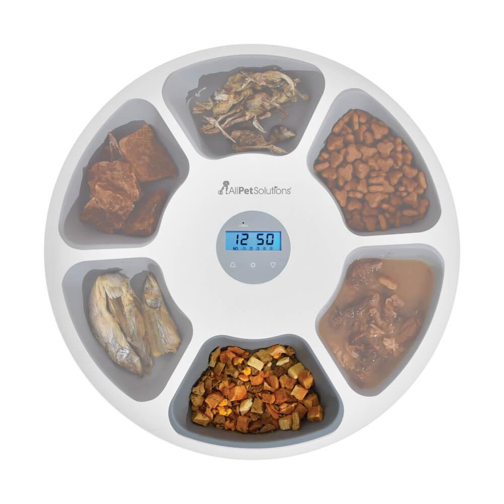 6 Meal Automatic Pet Feeder with LED Timed Settings - AllPetSolutions