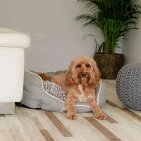 AllPetSolutions Alfie soft dog bed in grey, sizes S, M and L