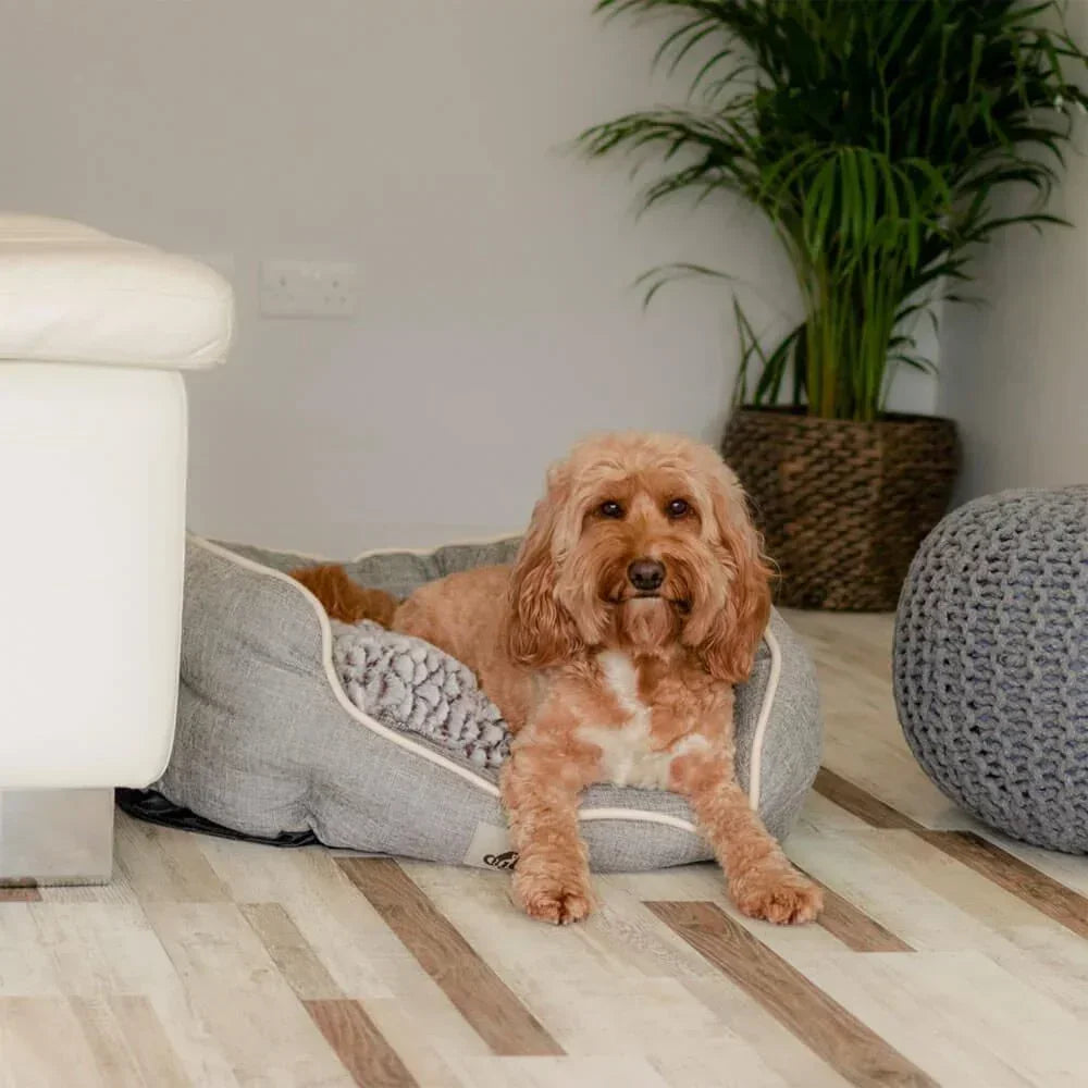 AllPetSolutions Alfie soft dog bed in grey, sizes S, M and L