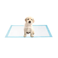 AllPetSolutions medium puppy pads 60 x 40cm size guide