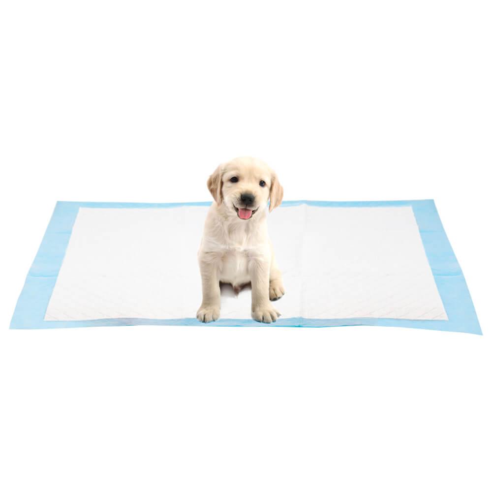 Absorbent Dog Mats  Dog Crate Mats Online - AllPetSolutions