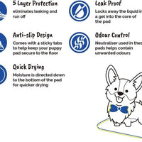 AllPetSolutions medium puppy pad quilted top sheet detail