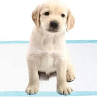 AllPetSolutions 25 pack XL puppy pads 60 x 90cm size reference