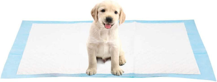 AllPetSolutions 50 x Disposable Puppy Pads - 60x40cm - AllPetSolutions