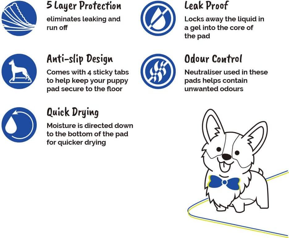 Cheapest place to buy puppy pads online