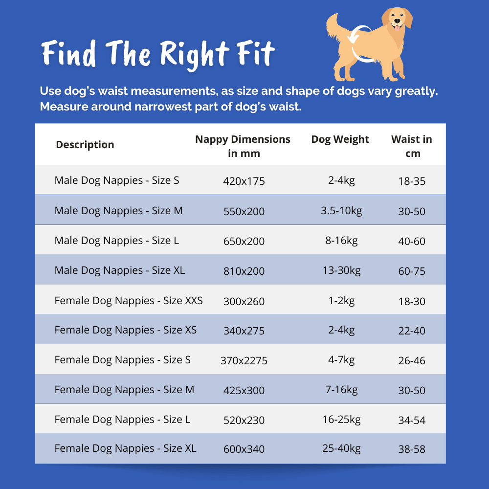 Dog online nappies uk