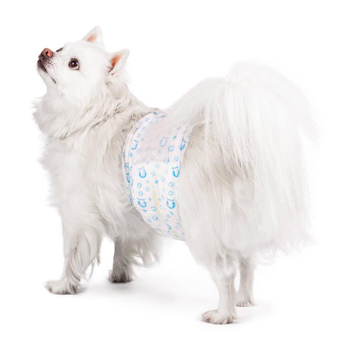 AllPetSolutions Disposable Male Dog Wraps S - XL - All Pet Solutions