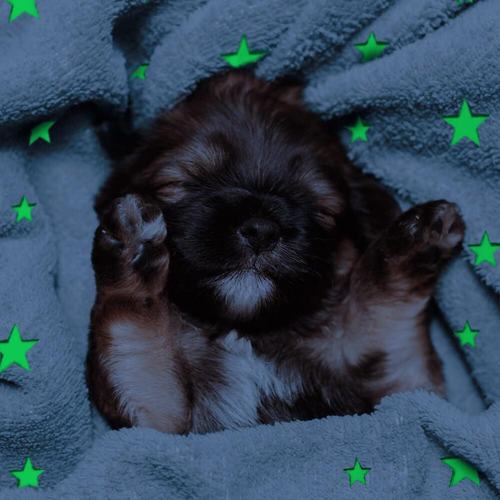 AllPetSolutions Glow in The Dark Fleece Cat & Dog Blanket, Blue - All Pet Solutions