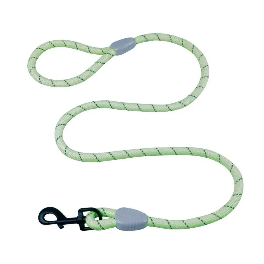 AllPetSolutions green reflective rope dog lead, 140cm