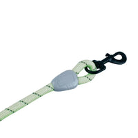 AllPetSolutions green reflective rope lead with its reflective threads lit up