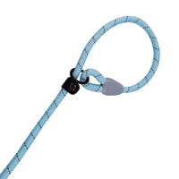 AllPetSolutions blue reflective slip lead with its reflective threads lit up