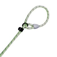 AllPetSolutions green reflective slip lead coiled to show its 140cm length