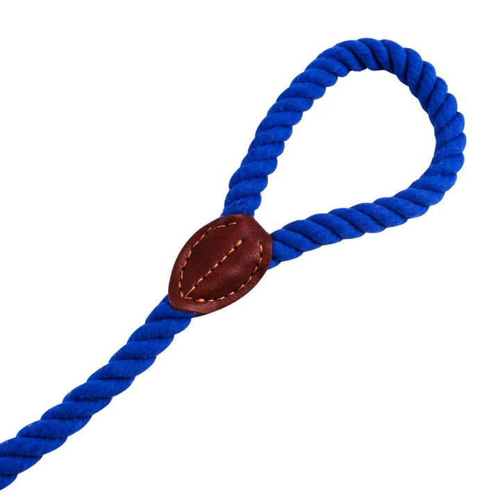 AllPetSolutions Rope Dog Lead, Blue, 120cm - All Pet Solutions