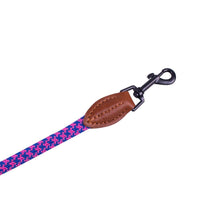 AllPetSolutions pink and blue rope lead trigger clip detail