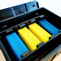 AllPetSolutions 6000L koi dual box filter brush chamber
