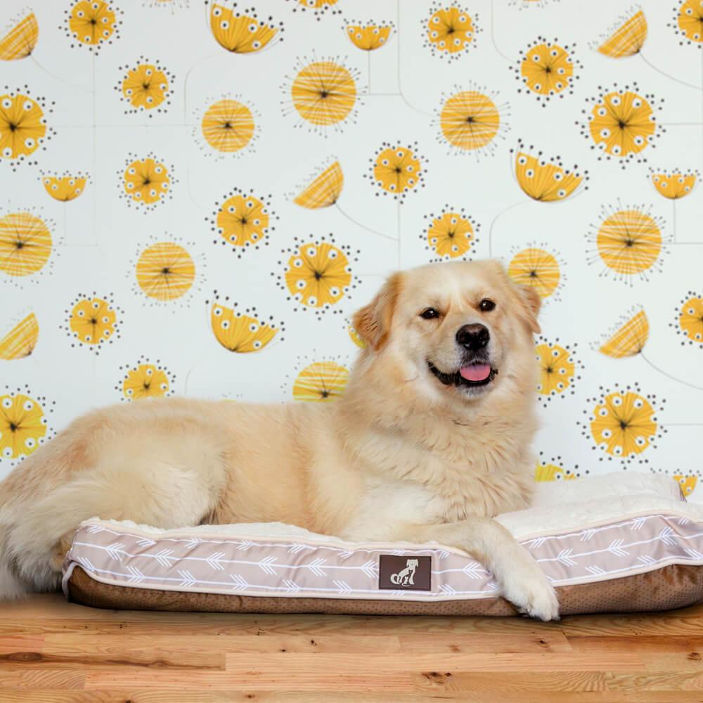Bella - Cream Dog Bed Large Pillow - Size 90x60x11cm - All Pet Solutions