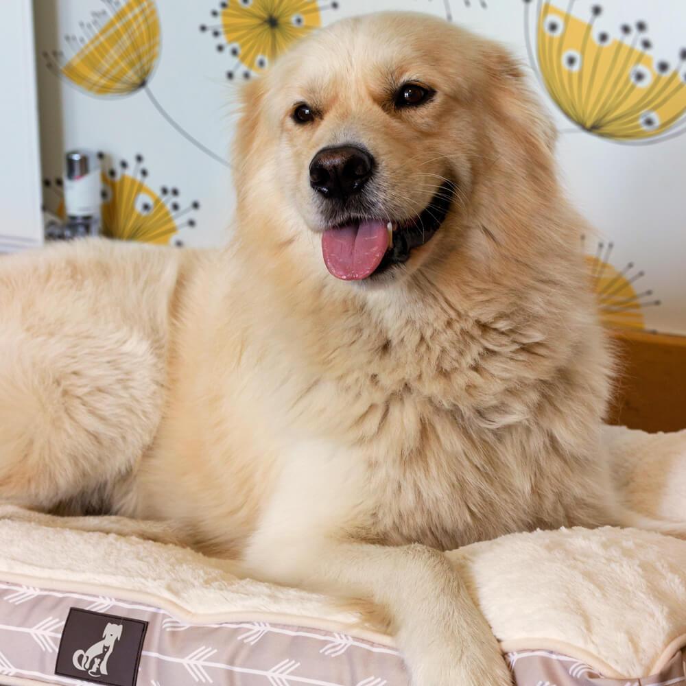 Bella - Grey Dog Bed Large Pillow - Size 90x60x11cm - All Pet Solutions