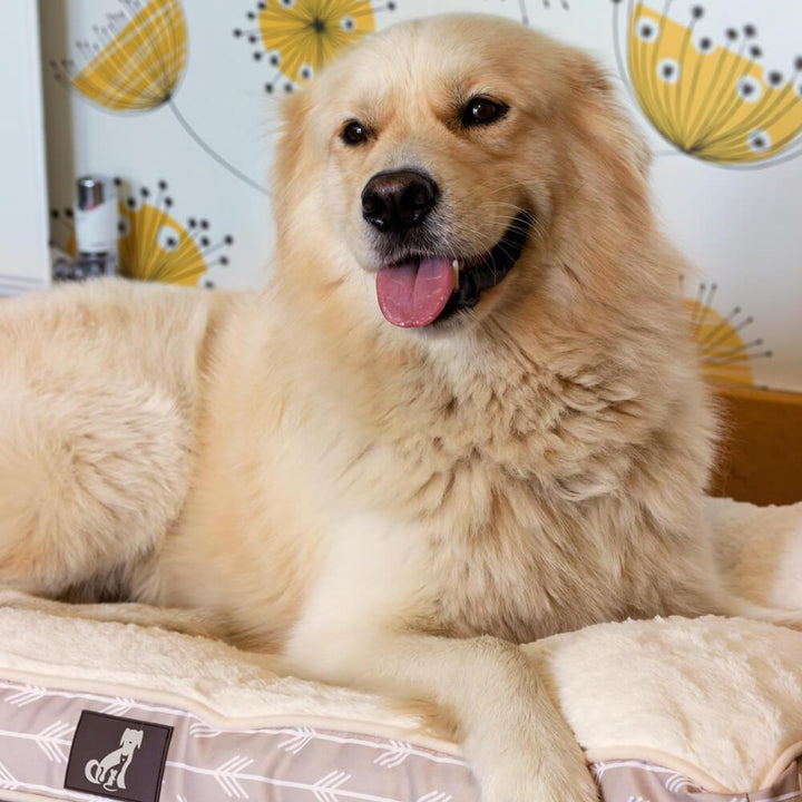 Bella - Grey Dog Bed Large Pillow - Size 90x60x11cm - All Pet Solutions