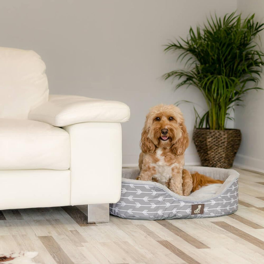 Bella - Grey Soft Dog Bed - Size S/M/L/XL - All Pet Solutions