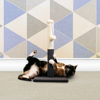 AllPetSolutions cat scratching post shown with its dimensions