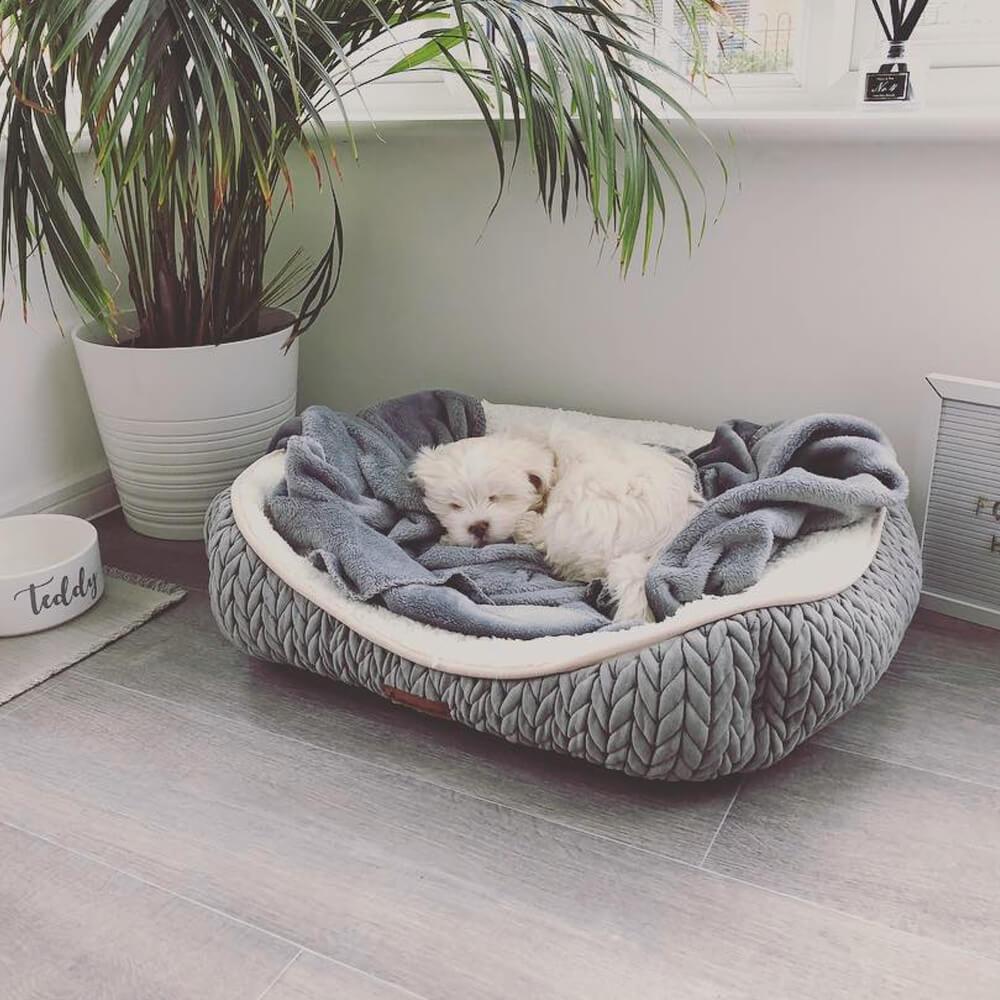 Charlie - Grey Chunky Knit Design Dog Bed - Size S/M/L - All Pet Solutions