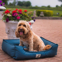 AllPetSolutions Dexter blue waterproof dog bed viewed from above