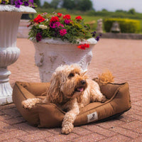 AllPetSolutions Dexter brown dog bed zip-off washable cover detail