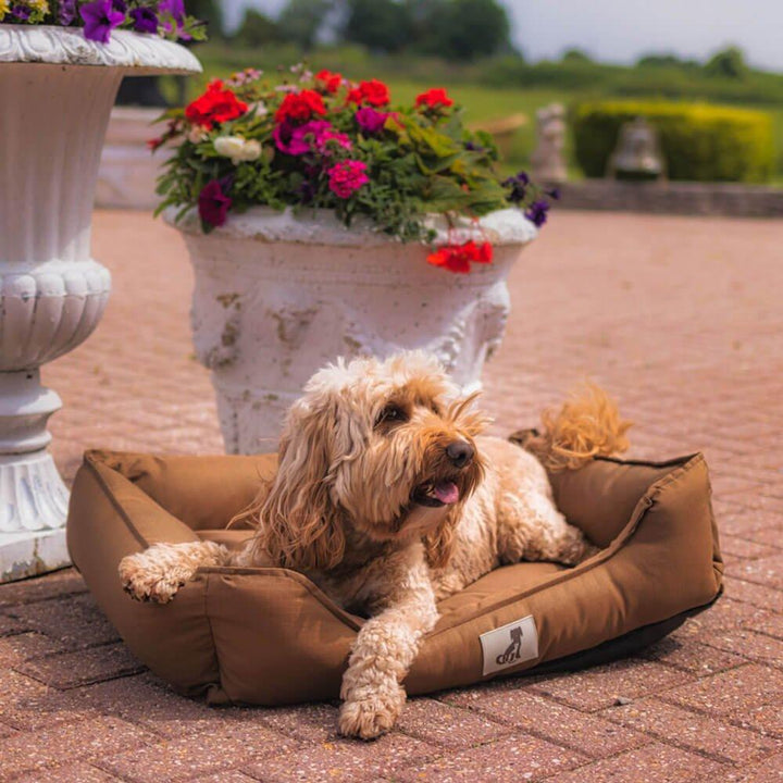 Dexter Waterproof Dog Bed Brown - Size S/M/L - All Pet Solutions