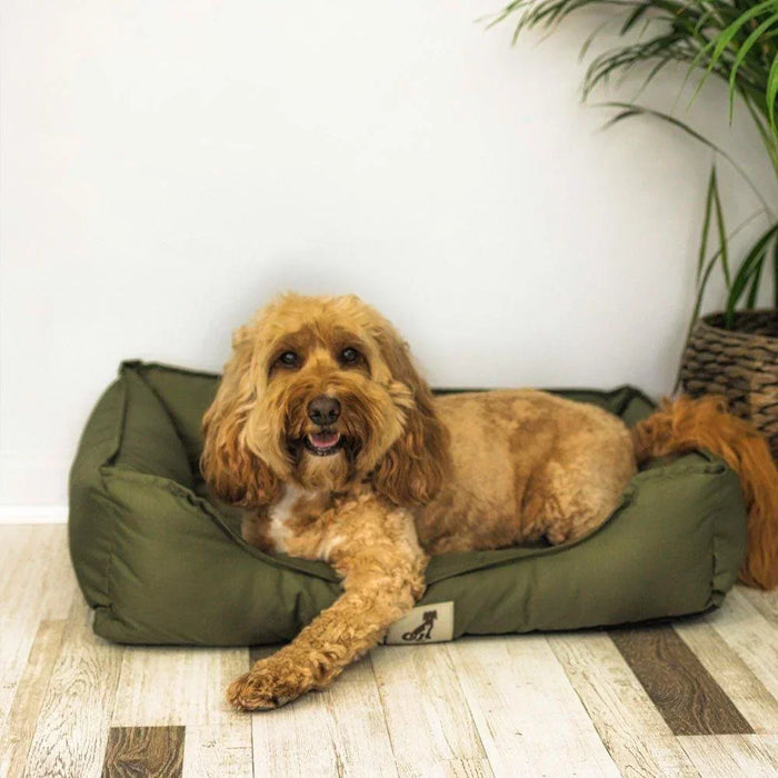 Dexter Waterproof Box Dog Bed