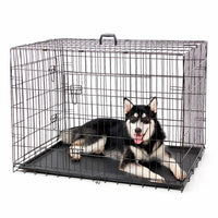 AllPetSolutions medium dog crate corner and bar spacing detail