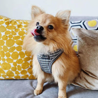 AllPetSolutions grey check dog harness buckle and adjuster detail