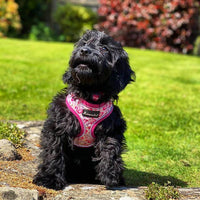 AllPetSolutions pink dog harness padded chest panel detail