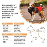 AllPetSolutions grey knitted dog jumper worn outdoors